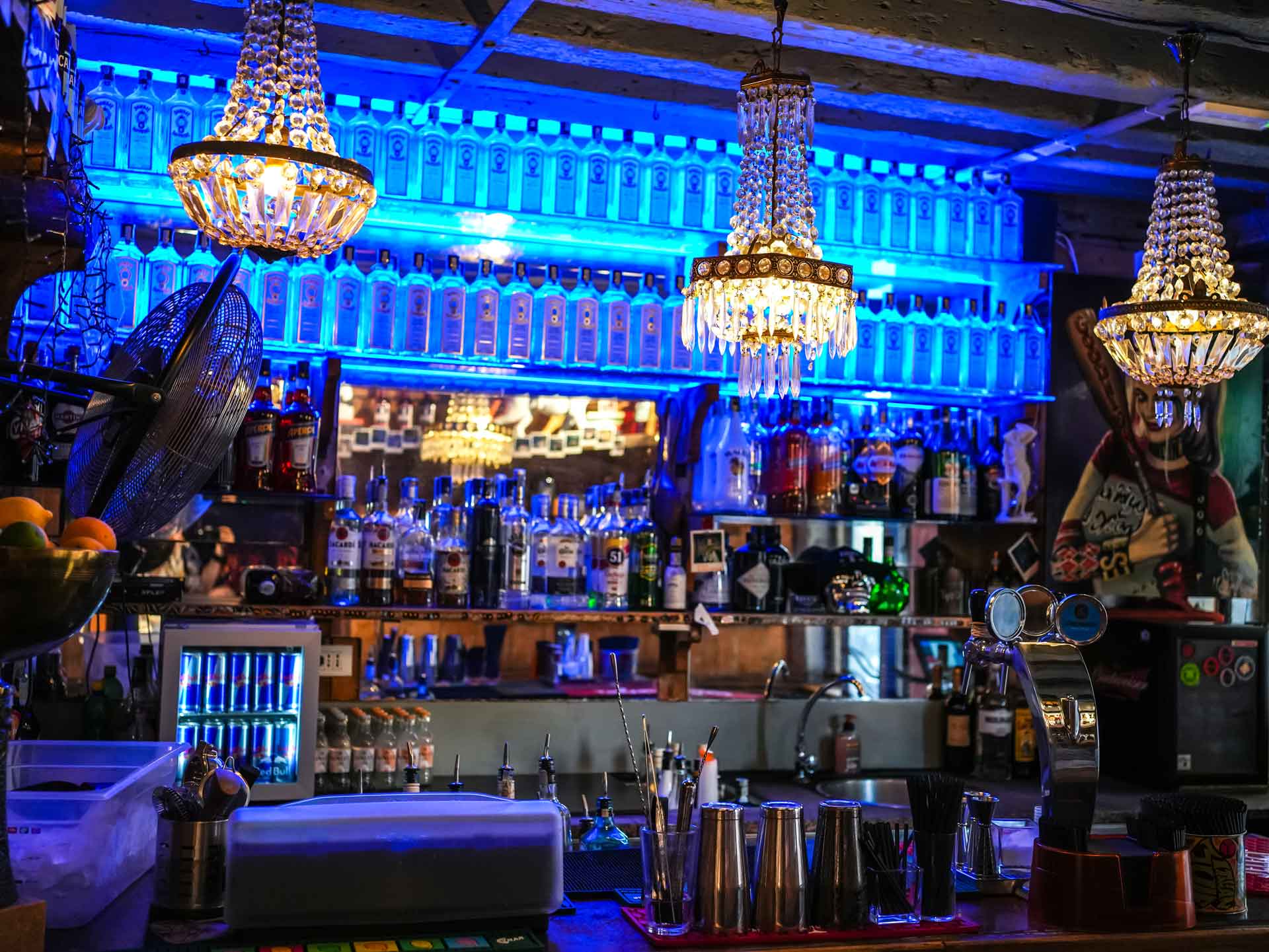 best bars in venice for young adults